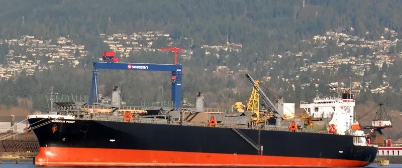 GLORIOUS PEONY Bulk Carrier IMO 9311139 photo 2