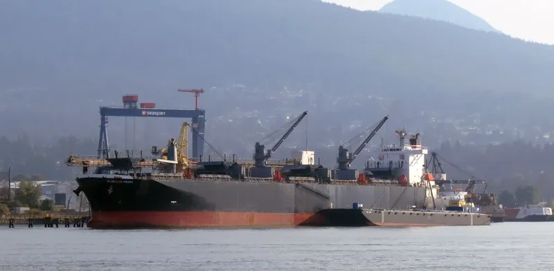 GLORIOUS PEONY Bulk Carrier IMO 9311139 photo 3
