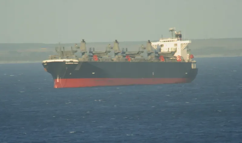 GLORIOUS PEONY Bulk Carrier IMO 9311139 photo 5
