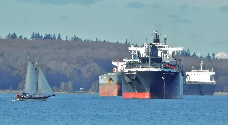 GLORIOUS PEONY Bulk Carrier IMO 9311139 photo 6