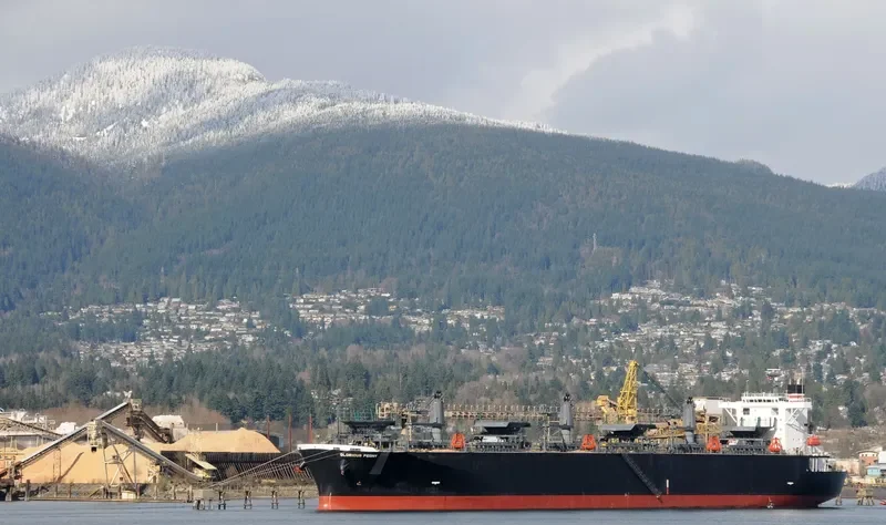 GLORIOUS PEONY Bulk Carrier IMO 9311139 photo 8