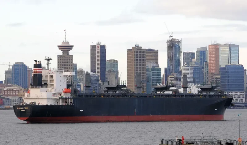 GLORIOUS PEONY Bulk Carrier IMO 9311139 photo 10