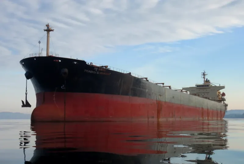 PRABHU SAKHAWAT Bulk Carrier IMO 9311141
