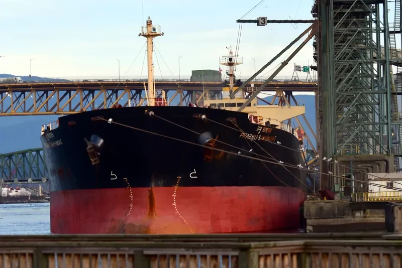 PRABHU SAKHAWAT Bulk Carrier IMO 9311141 photo 2