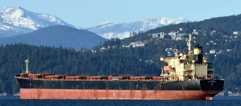 PRABHU SAKHAWAT Bulk Carrier IMO 9311141 photo 3