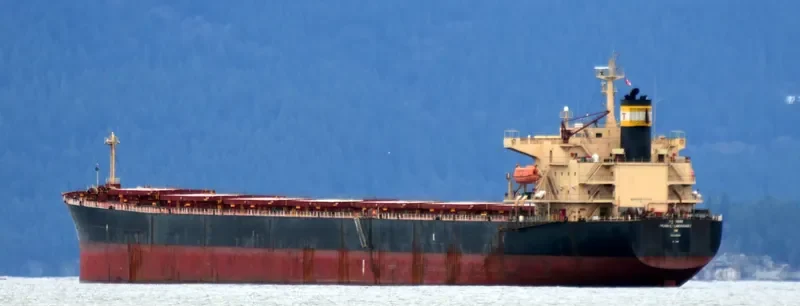 PRABHU SAKHAWAT Bulk Carrier IMO 9311141 photo 5