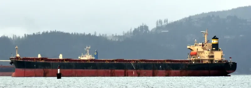 PRABHU SAKHAWAT Bulk Carrier IMO 9311141 photo 6