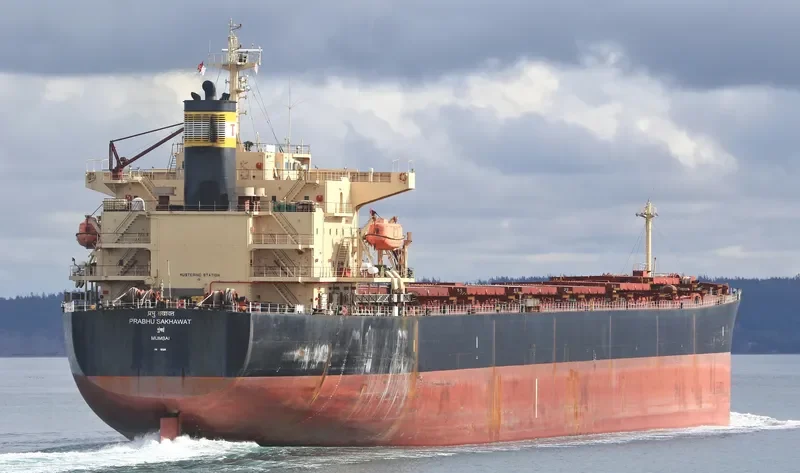 PRABHU SAKHAWAT Bulk Carrier IMO 9311141 photo 7