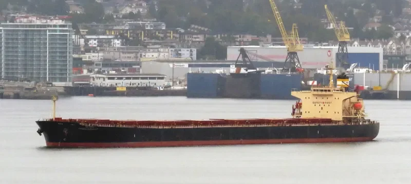 PRABHU SAKHAWAT Bulk Carrier IMO 9311141 photo 8