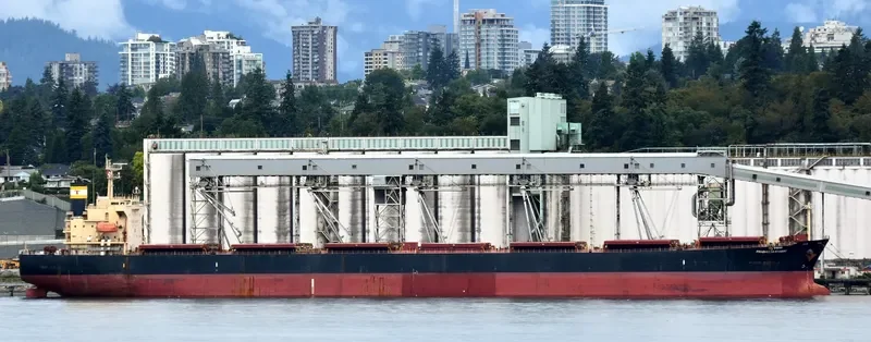 PRABHU SAKHAWAT Bulk Carrier IMO 9311141 photo 9
