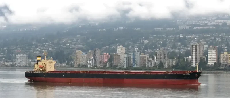 PRABHU SAKHAWAT Bulk Carrier IMO 9311141 photo 10
