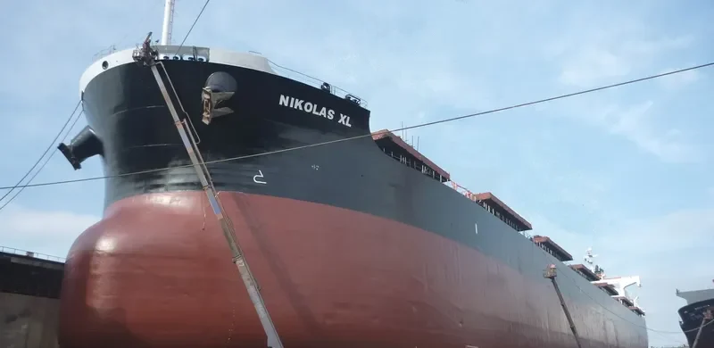 NIKOLAS XL Bulk Carrier IMO 9311165