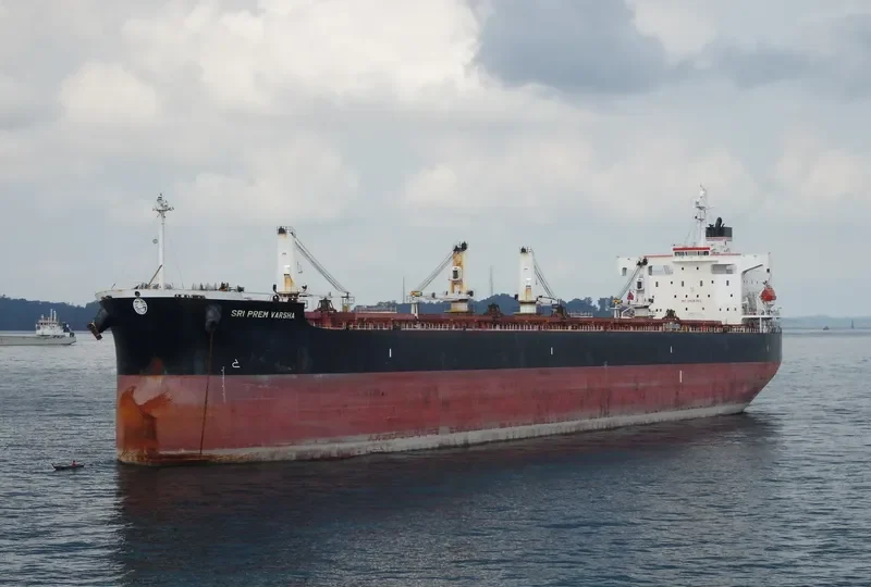NIKOLAS XL Bulk Carrier IMO 9311165 photo 2