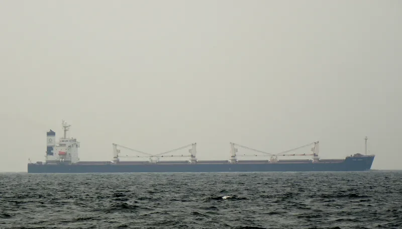 NIKOLAS XL Bulk Carrier IMO 9311165 photo 3