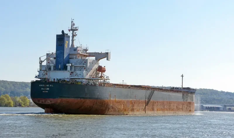 NIKOLAS XL Bulk Carrier IMO 9311165 photo 6