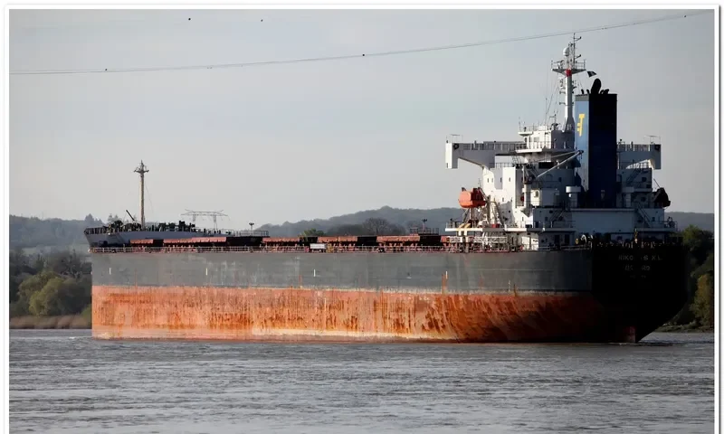 NIKOLAS XL Bulk Carrier IMO 9311165 photo 7