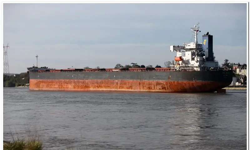 NIKOLAS XL Bulk Carrier IMO 9311165 photo 8