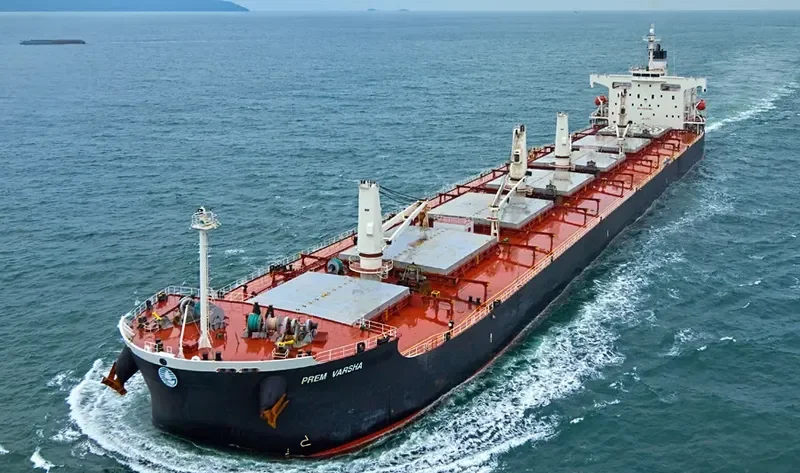 NIKOLAS XL Bulk Carrier IMO 9311165 photo 10