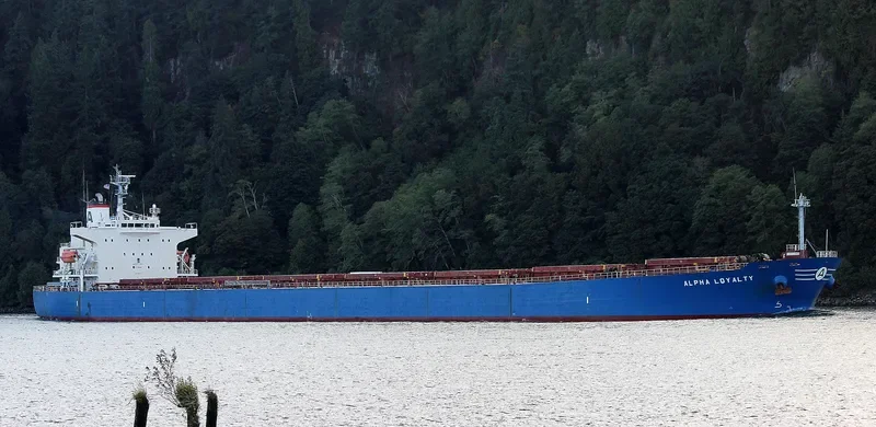 ALPHA LOYALTY Bulk Carrier IMO 9311177
