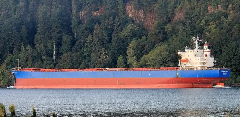 ALPHA LOYALTY Bulk Carrier IMO 9311177 photo 2