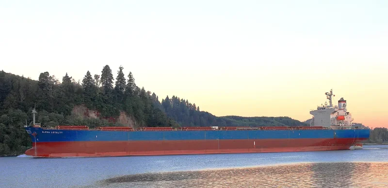 ALPHA LOYALTY Bulk Carrier IMO 9311177 photo 3