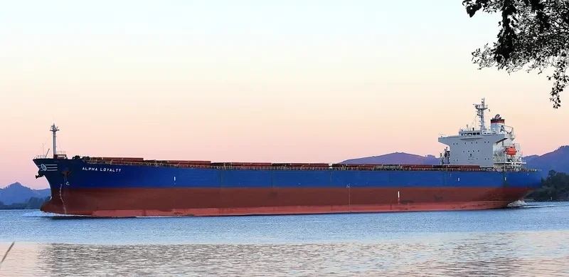 ALPHA LOYALTY Bulk Carrier IMO 9311177 photo 4