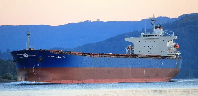 ALPHA LOYALTY Bulk Carrier IMO 9311177 photo 5