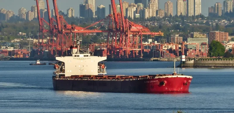 ALPHA LOYALTY Bulk Carrier IMO 9311177 photo 6