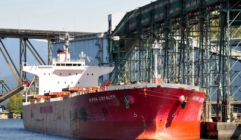 ALPHA LOYALTY Bulk Carrier IMO 9311177 photo 7