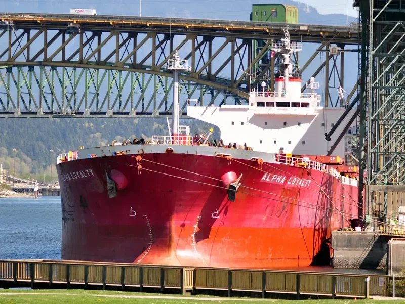 ALPHA LOYALTY Bulk Carrier IMO 9311177 photo 8
