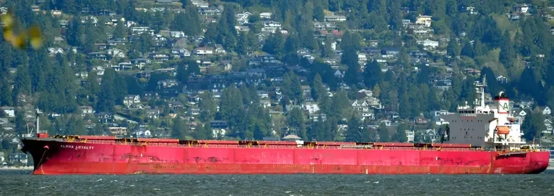 ALPHA LOYALTY Bulk Carrier IMO 9311177 photo 9