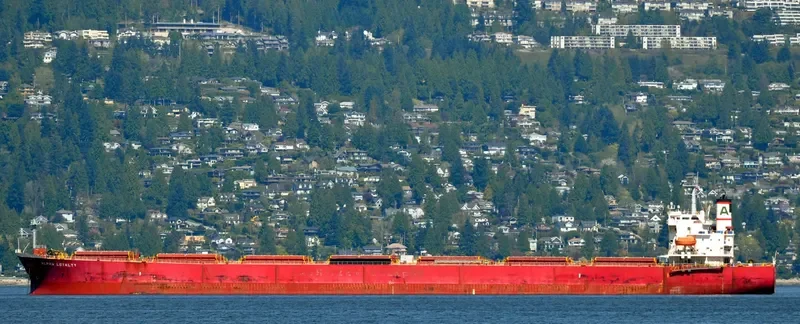 ALPHA LOYALTY Bulk Carrier IMO 9311177 photo 10
