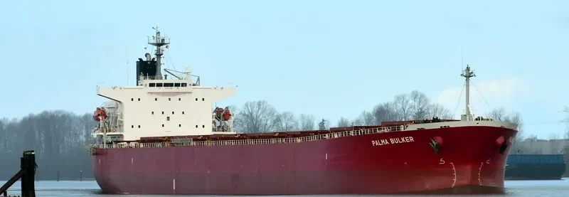 PALMA BULKER Bulk Carrier IMO 9311191 photo 2