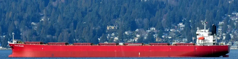 PALMA BULKER Bulk Carrier IMO 9311191 photo 3