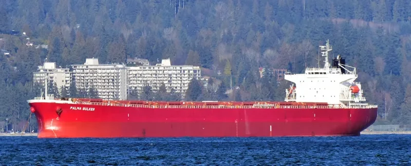 PALMA BULKER Bulk Carrier IMO 9311191 photo 4