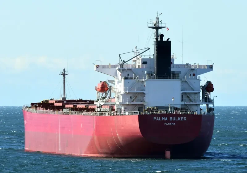 PALMA BULKER Bulk Carrier IMO 9311191 photo 5