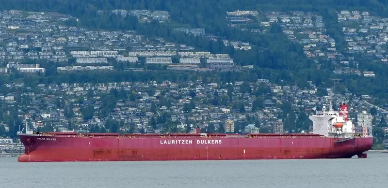PALMA BULKER Bulk Carrier IMO 9311191 photo 6