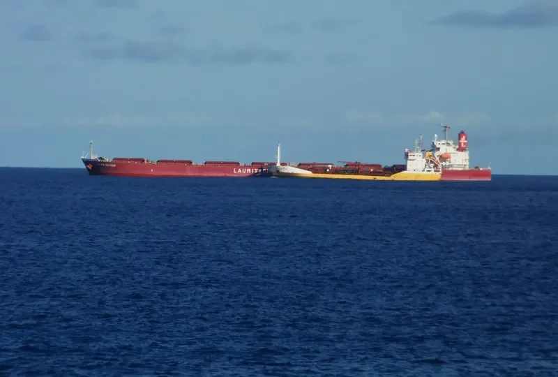 PALMA BULKER Bulk Carrier IMO 9311191 photo 7