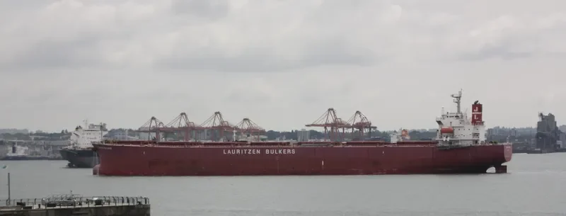 PALMA BULKER Bulk Carrier IMO 9311191 photo 8