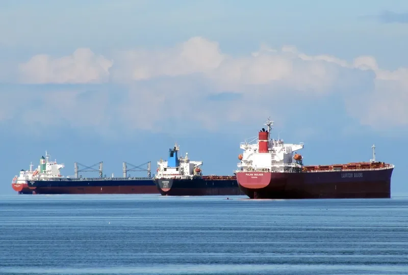 PALMA BULKER Bulk Carrier IMO 9311191 photo 10