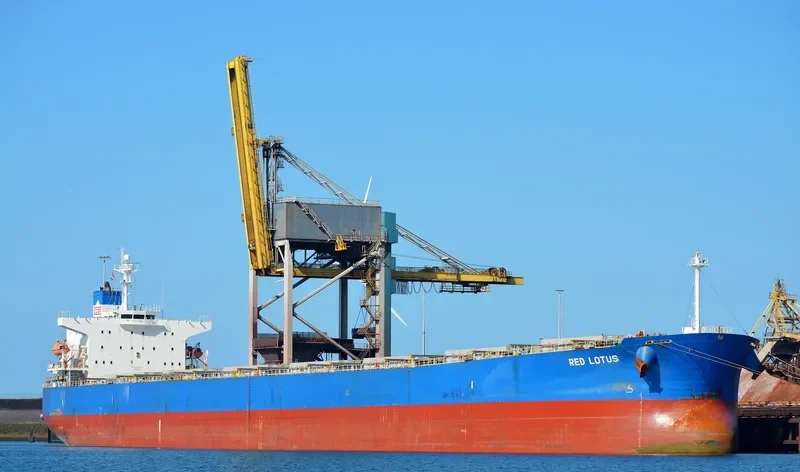RED LOTUS Bulk Carrier IMO 9311206