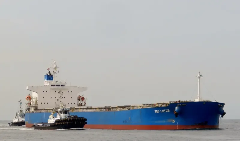 RED LOTUS Bulk Carrier IMO 9311206 photo 5