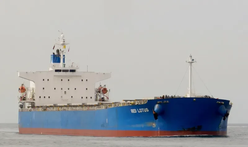 RED LOTUS Bulk Carrier IMO 9311206 photo 7
