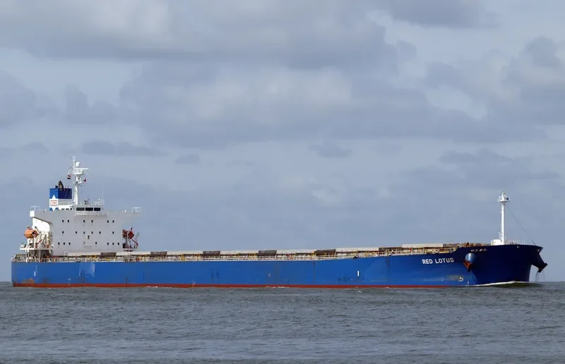 RED LOTUS Bulk Carrier IMO 9311206 photo 8