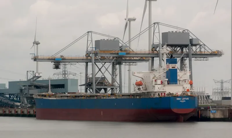 RED LOTUS Bulk Carrier IMO 9311206 photo 9