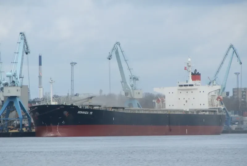BONANZA YR Bulk Carrier IMO 9311218 photo 8