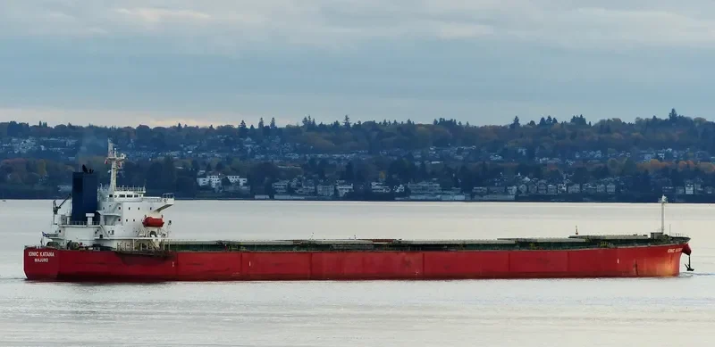 IONIC KATANA Bulk Carrier IMO 9311220 photo 4