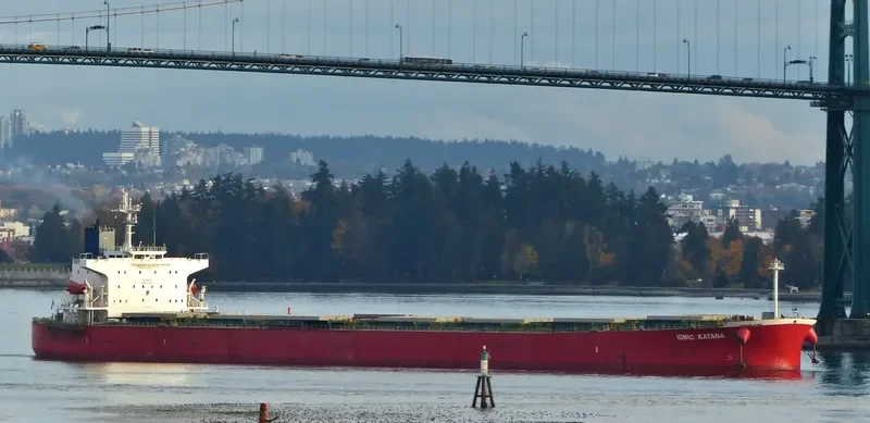 IONIC KATANA Bulk Carrier IMO 9311220 photo 5