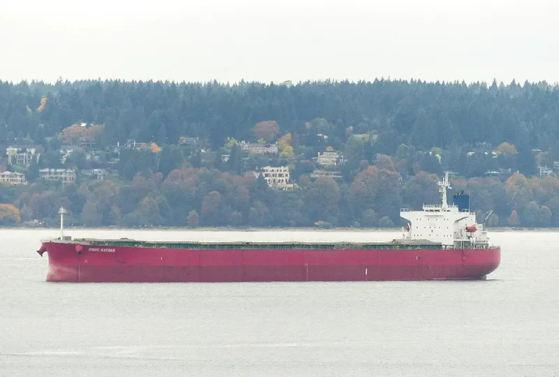 IONIC KATANA Bulk Carrier IMO 9311220 photo 8