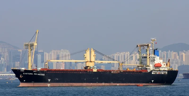 RORO SAWITRI Ro-Ro IMO 9311232 photo 5
